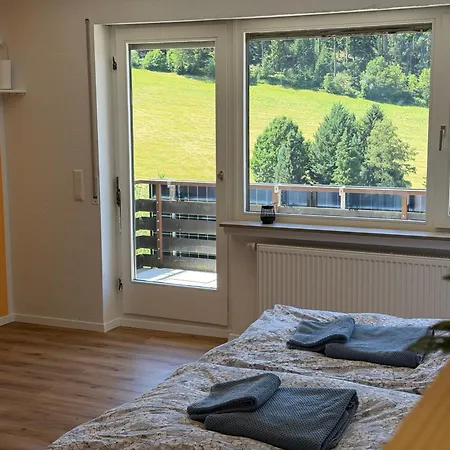 Mit Pool, Sauna Und Einem Tollen Blick Ueber Den Schwarzwald, Nahe Freudenstadt アパート *