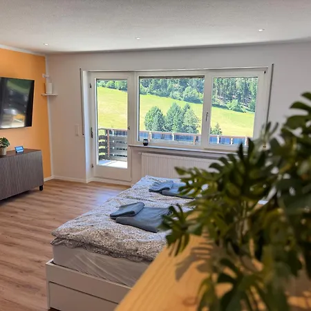 Mit Pool, Sauna Und Einem Tollen Blick Ueber Den Schwarzwald, Nahe Freudenstadt アパート バイアースブロン