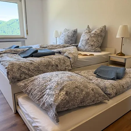 Mit Pool, Sauna Und Einem Tollen Blick Ueber Den Schwarzwald, Nahe Freudenstadt バイアースブロン
