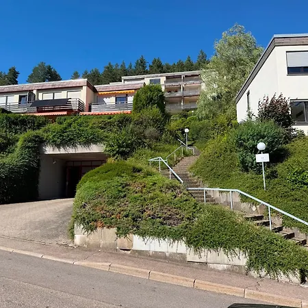 Mit Pool, Sauna Und Einem Tollen Blick Ueber Den Schwarzwald, Nahe Freudenstadt バイアースブロン